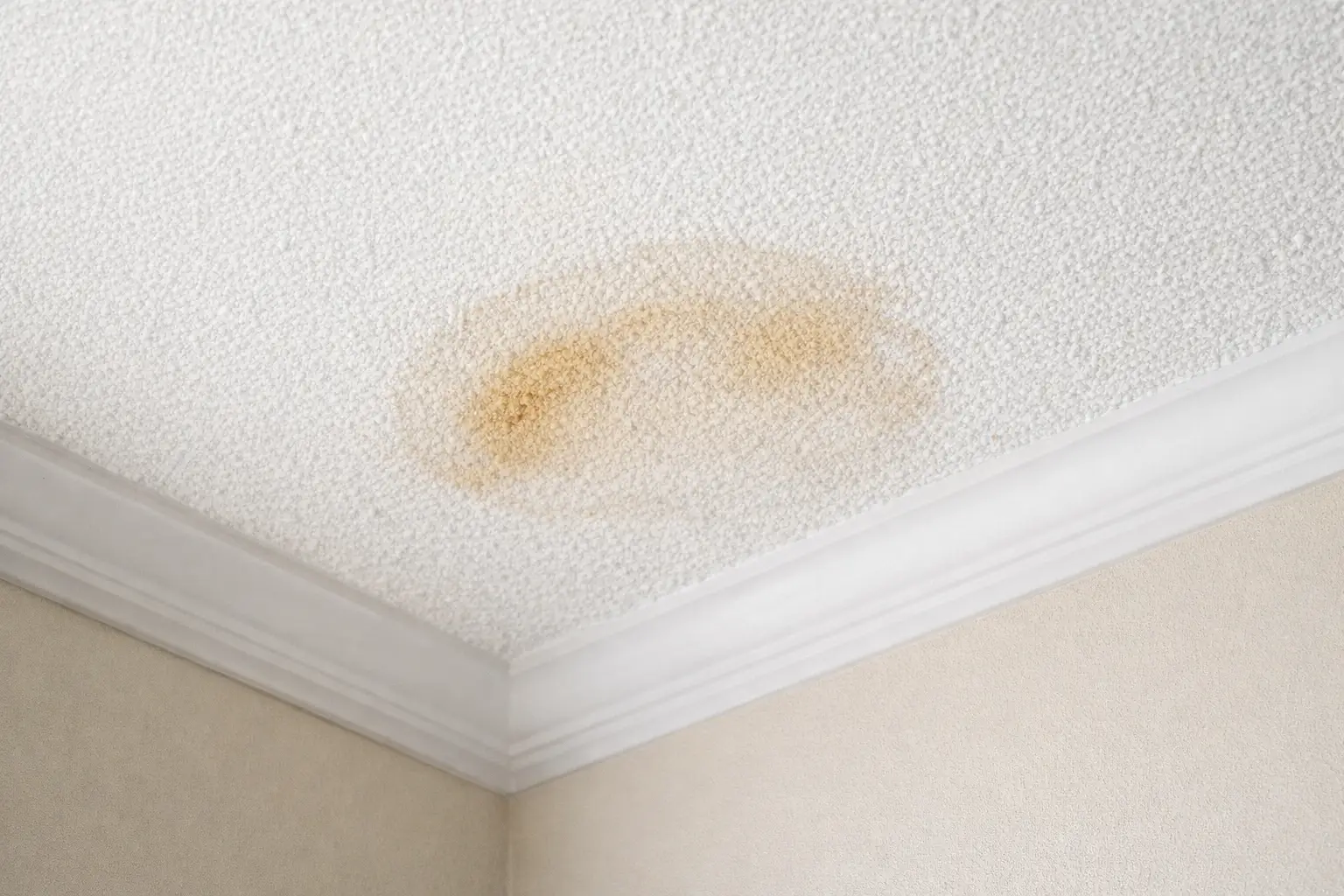 Minor ceiling water stain showing early-stage home maintenance issue.