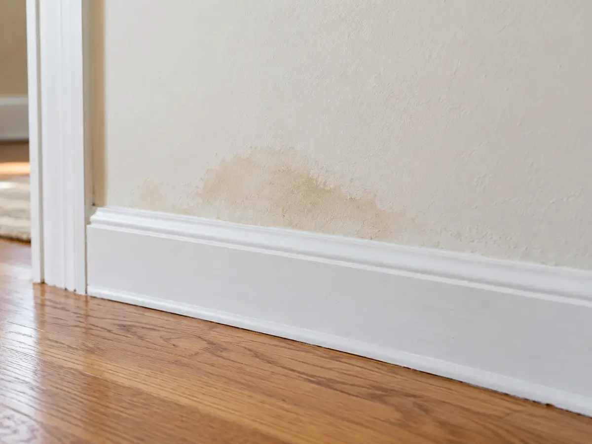 Brown water staining along an interior wall near the baseboard.